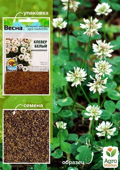 Конюшина "Біла" (Зіпер) ТМ "Весна" 3г 