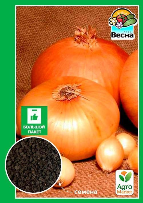 Лук "Штутгартен ризен" (Большой пакет) ТМ "Весна" 3г
