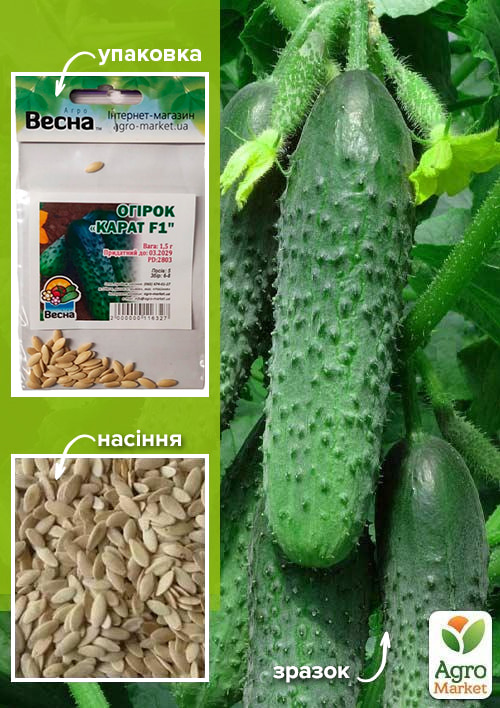 Огурец "Карат F1" (Зипер) ТМ "Весна" 0.5г