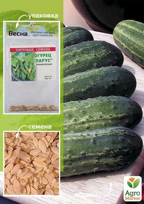 Огірок "Парус" (Зипер) ТМ "Весна" 0.5г