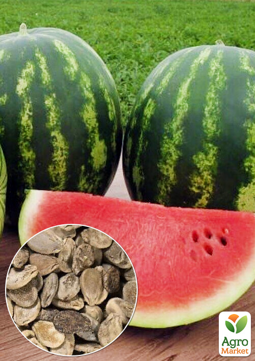 На развес Арбуз "Фарид" ТМ "Весна" цена за 6г