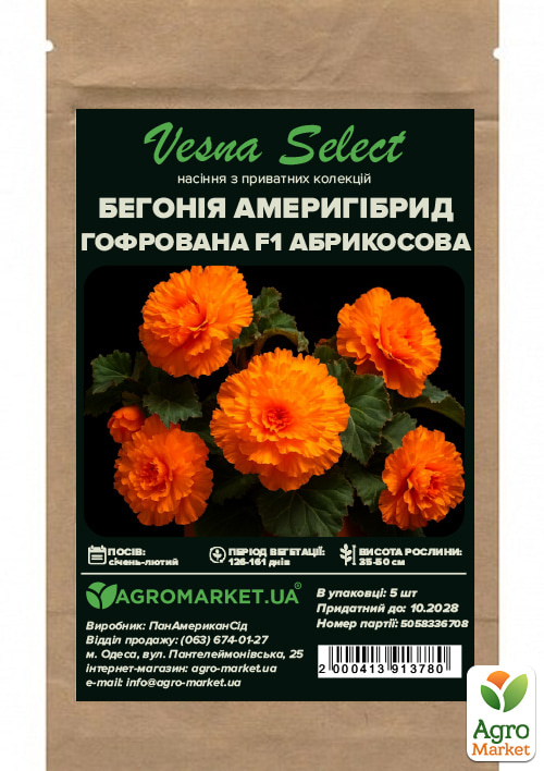 Бегонія "Амерігібрид гофрована F1 абрикосова" ТМ "Vesna Select" 5шт - фото 2