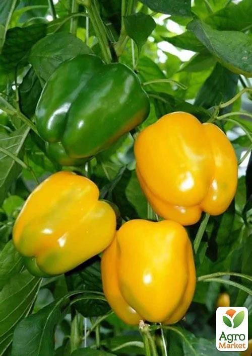 Перець "Бугай" ТМ "Vesna Select" 20шт - фото 5