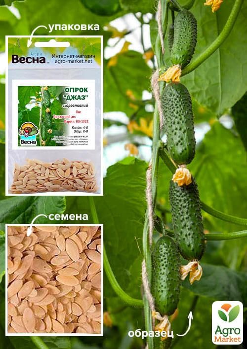 Огірок "Джаз" (Зіпер) ТМ "Весна" 2г