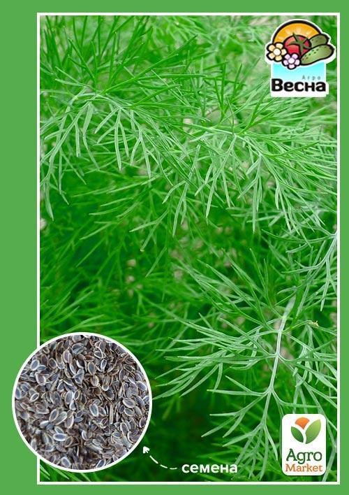 Кріп "Мамонтовий" (Новий пакет) ТМ "Весна" 2г