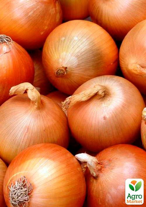 Лук "Глобус" (Зипер) ТМ "Весна" 3г - фото 3