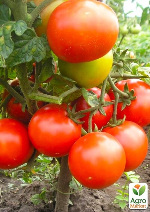 Томат "Славный урожайный" ТМ "Vesna Select" 0.2г