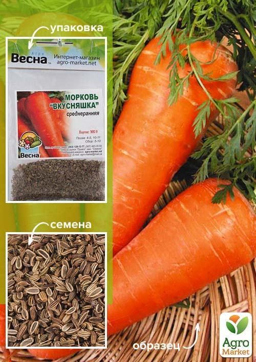 Морква "Вкусняшка" (Зипер) ТМ "Весна" 5г