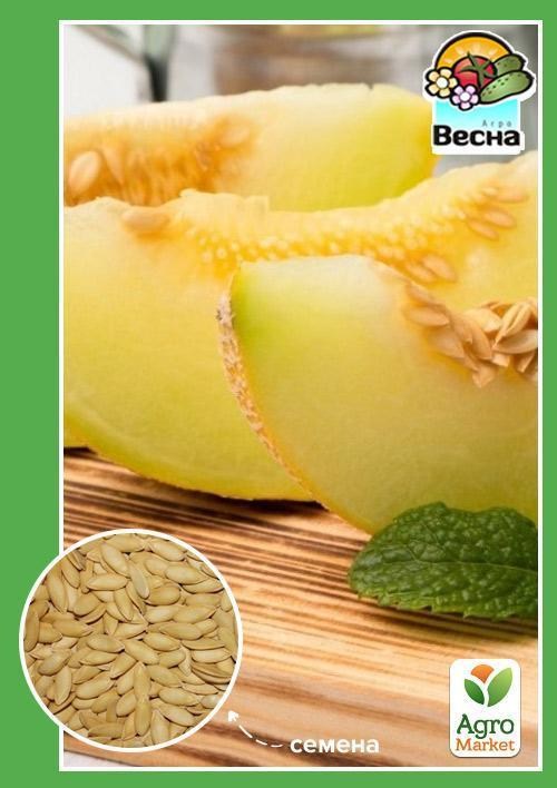 Дыня "Медовые соты" (Новый пакет) ТМ "Весна" 1,5г - фото 2