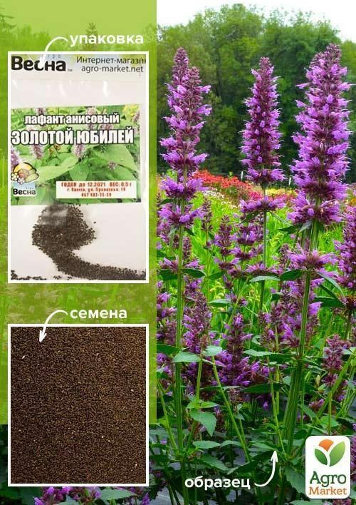 Лофант анісовий "Золотий ювілейний" (Зипер) ТМ "Весна" 0.5г