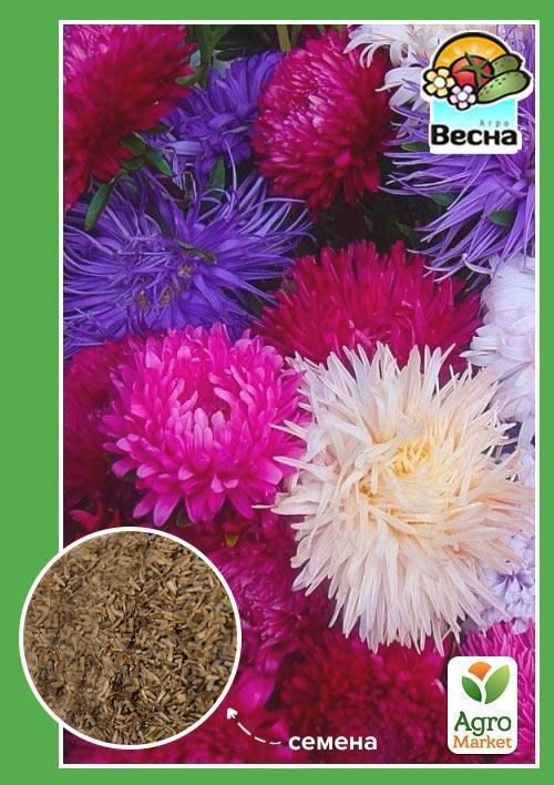 Астра "Художественная" смесь окрасок ТМ "Весна" 0.2г