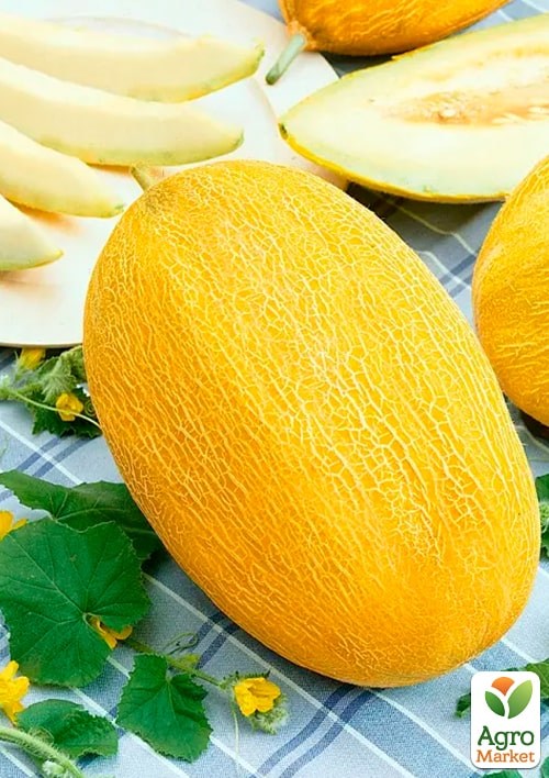 Диня "Берегиня" (Зипер) ТМ "Весна" 3г - фото 2