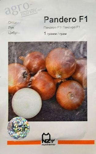Лук "Пандеро F1" ТМ "Nunhems" 1г