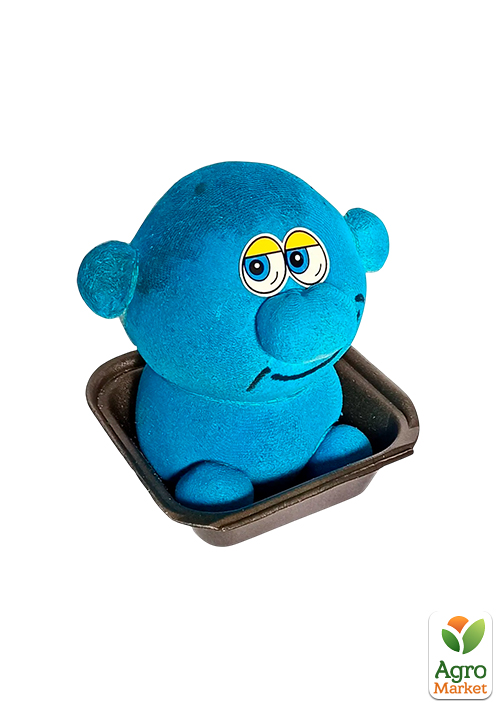 Набір для вирощування Трав'янчик Смурфик