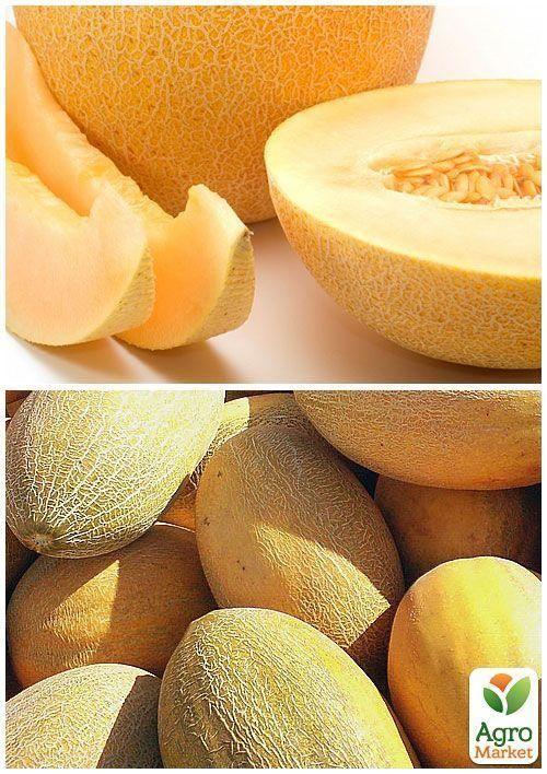 На вагу Диня "Ольвія" ТМ "Весна" ціна за 6г - фото 3