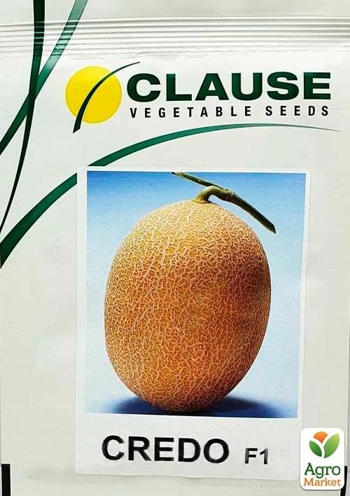 Дыня "Кредо F1" ТМ "Clause" 1000шт