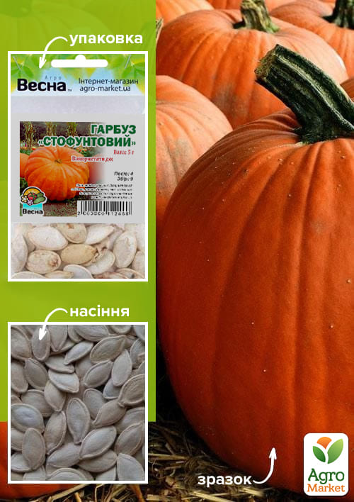 Тыква "Стофунтовая" (Зипер) ТМ "Весна" 5г