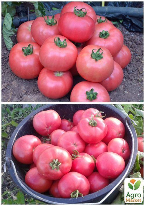 На развес Томат "Розовый плоский" ТМ "Весна"цена за 1г - фото 4