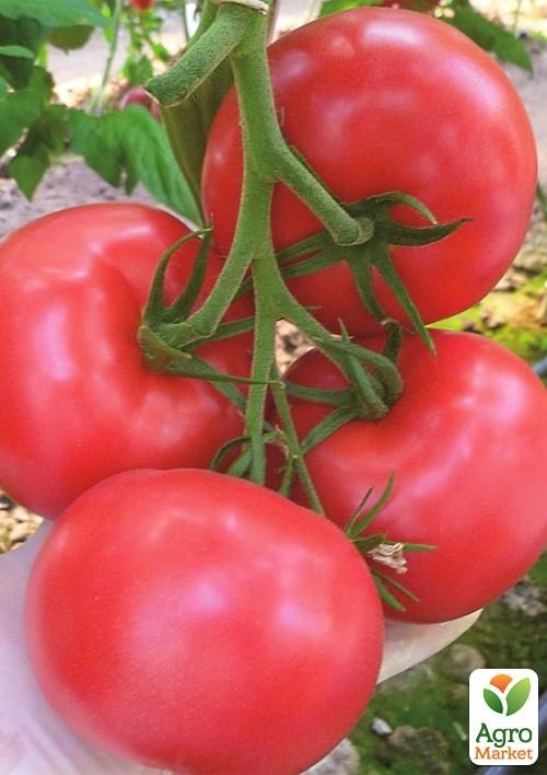 Томат "Фортуна" ТМ "Vesna Select" 0,2г