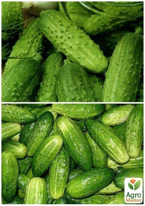 На развес Огурец "Нежинский" ТМ "Весна" цена за 5г - фото 4