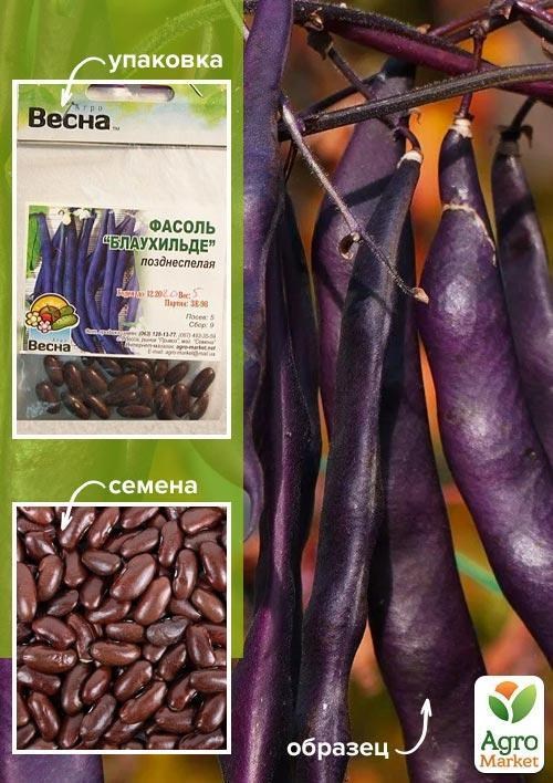 Квасоля спаржева "Блаухільде" (Зипер) ТМ "Весна" 5г