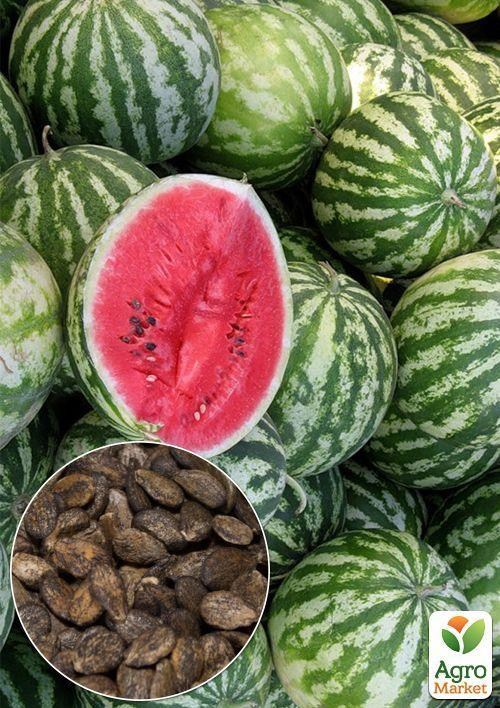 На развес Арбуз "Сахарный великан" ТМ "Весна" цена за 5г