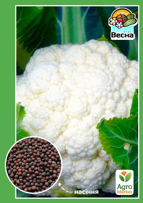 Капуста цвітна "Ранній врожай" ТМ "Весна" 0.3г - фото 2