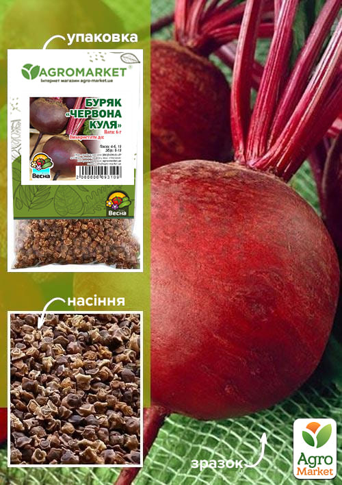 Буряк "Червона куля" (Зипер) ТМ "Весна" 6г