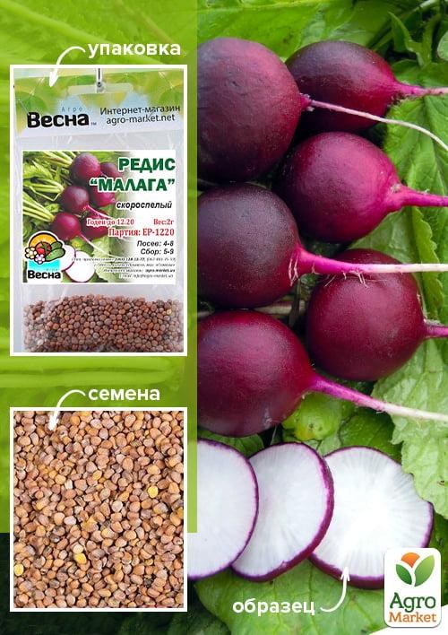 Редис "Малага" (Зипер) ТМ "Весна" 2г