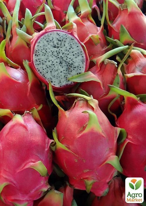 Пітахайя "Драконівський фрукт" ТМ "Vesna Exclusive" 5шт - фото 5