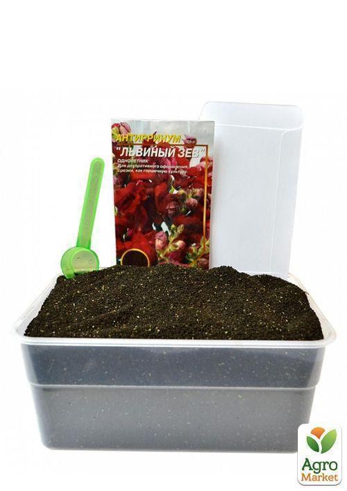 На вагу Левовий зев червоний ТМ "Весна" ціна за 1г - фото 3