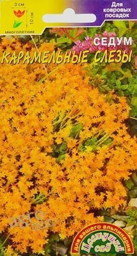 Седум "Карамельные слезы" ТМ "Цветущий сад" 0.01г