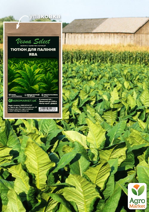 Семена Табак курительный "Ява" ТМ "Vesna Select" 0.5г