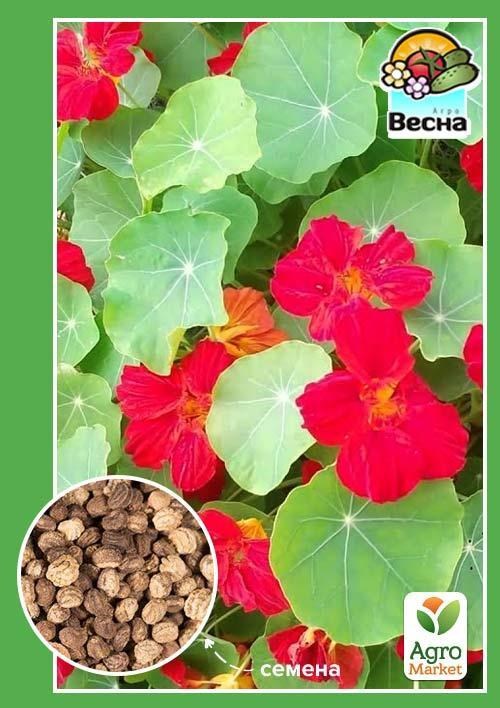 Настурция вьющаяся ТМ "Весна" 0.5г