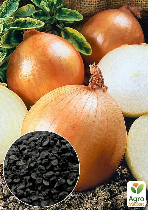 На развес Лук "Гранд Эталон" ТМ "Весна" цена за 5г