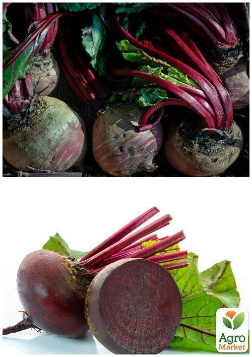 На развес Свекла "Бордо" ТМ "Весна" цена за 10г - фото 3