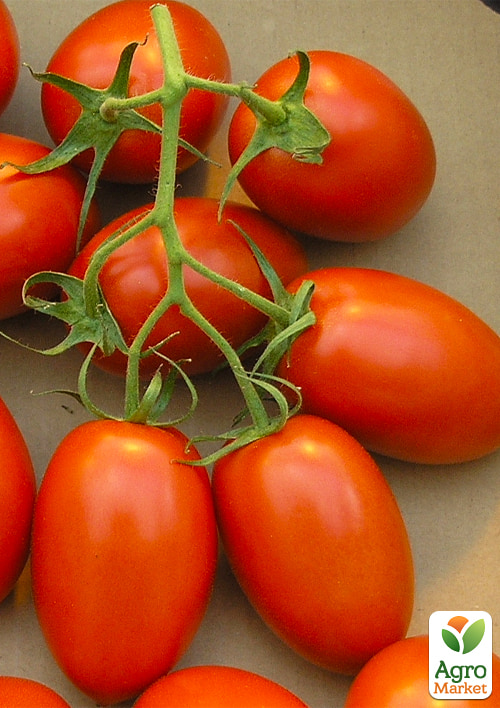 Томат "Сливки-ленивки" ТМ "Vesna Select" 0.2г - фото 2