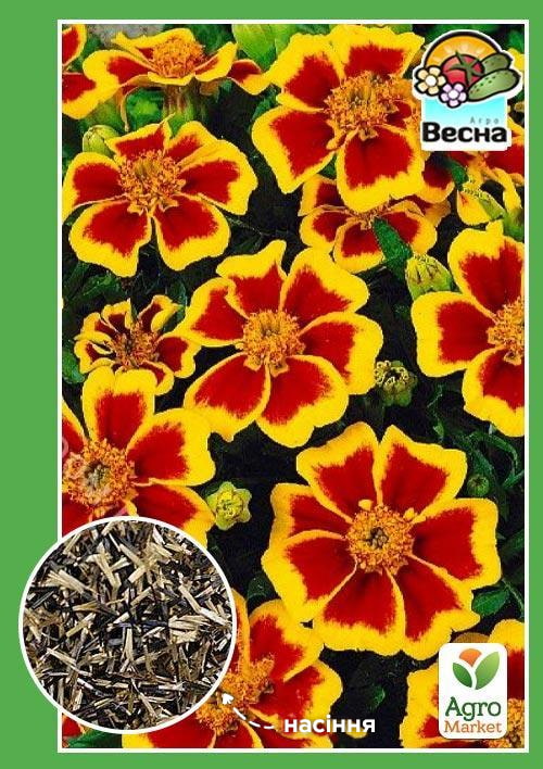Чорнобривці "Бешкетна Марієтта" ТМ "Весна" 0.3г