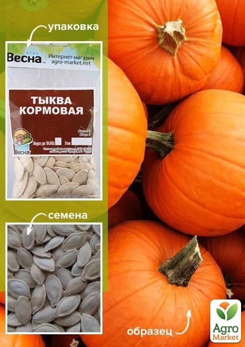 Тыква "Кормовая" (Зипер) ТМ "Весна" 5г
