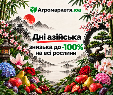 Дні азійська знизька до -100%!
