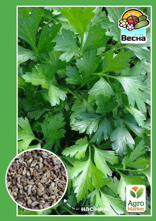 Петрушка "Урожайная" ТМ "Весна" 2г