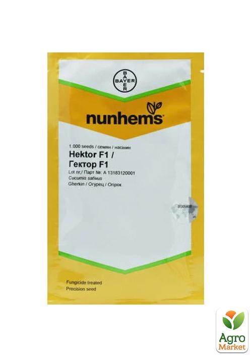 Огурец "Гектор F1" ТМ "Nunhems" 1000шт