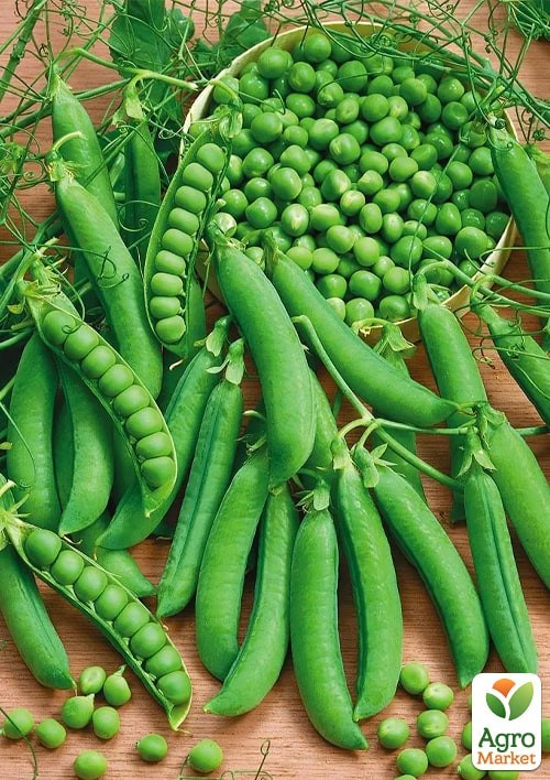 Горох "Звеньевой" (Зипер) ТМ "Весна" 30г - фото 2