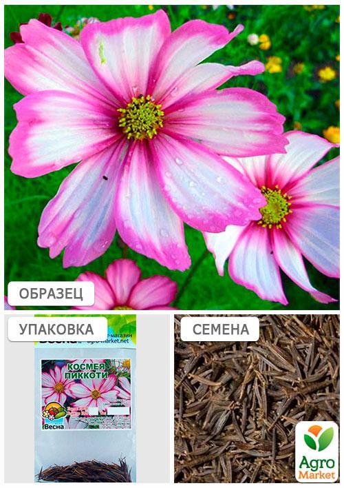 Космея "Піккоті" (Зипер) ТМ "Весна" 1г - фото 3