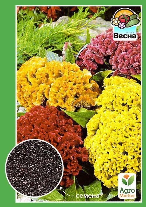 Целозия "Гребенчатая" ТМ "Весна" 0.3г