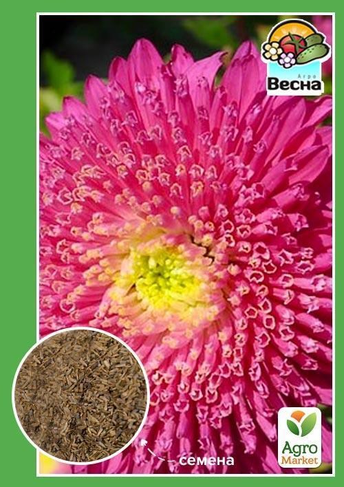 Астра "Конни" ТМ "Весна" 0.2г