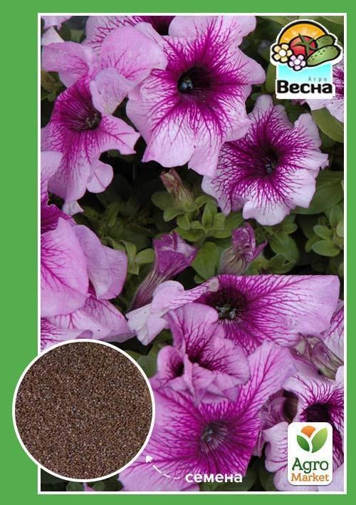 Петунія "Крупноквіткова лілова" ТМ "Весна" 0.3г