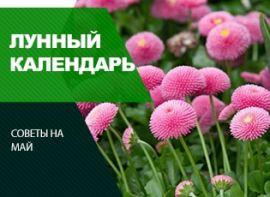 Місячний посівний календар на травень 2021 - корисні статті про садівництво від Agro-Market
