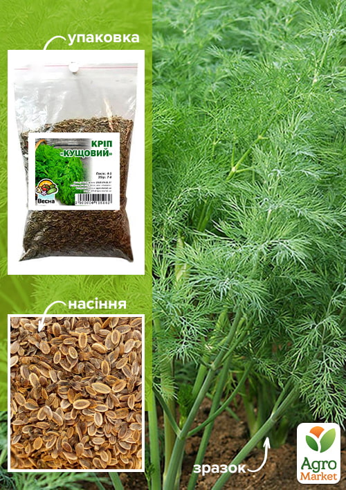 Укроп "Кустовой" ТМ "Весна" 100г