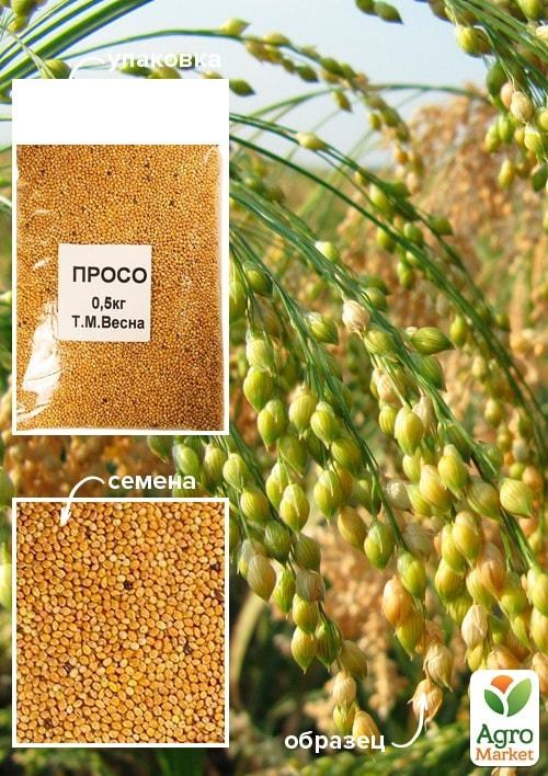 Просо ТМ "Весна" 500г